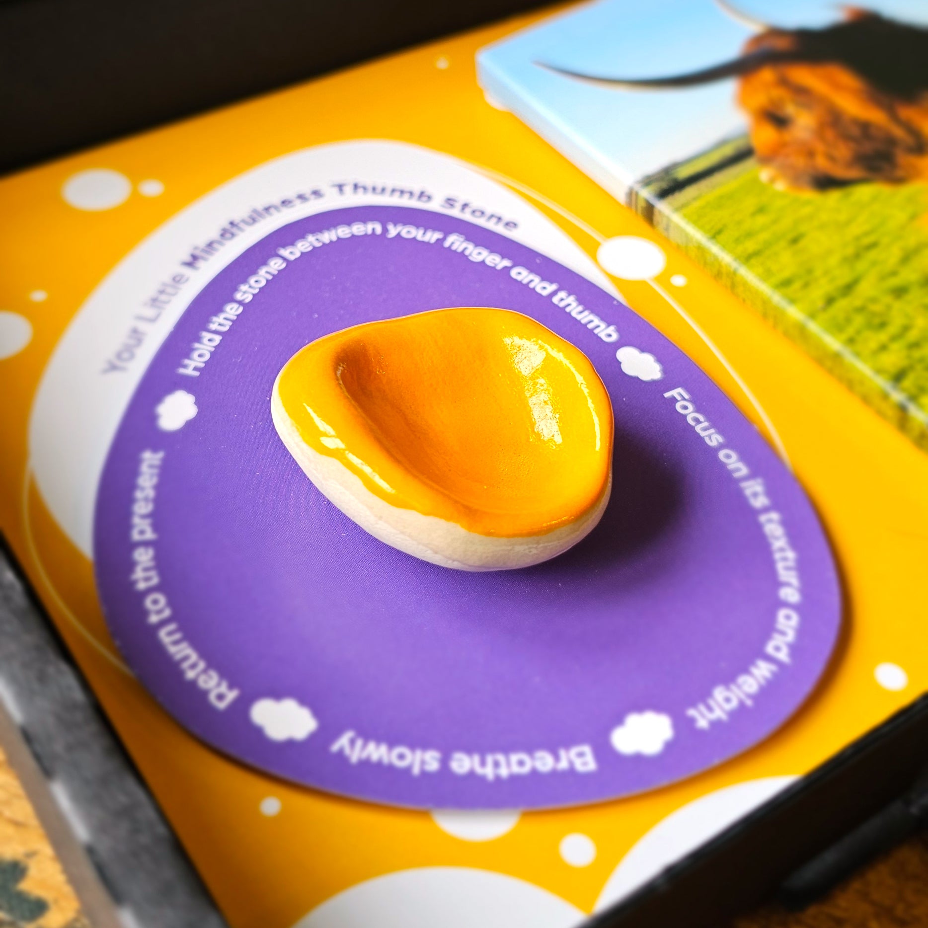 Stress Gift Box