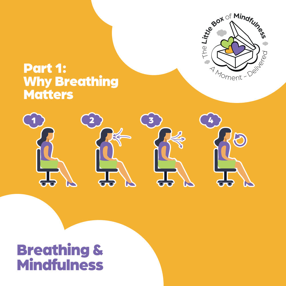 Breathing & Mindfulness Part 1: Why Breathing Matters