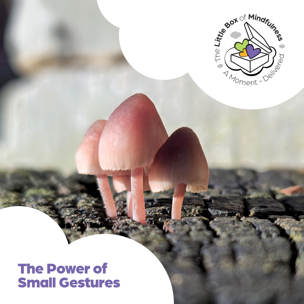 Mental Health - The Power Of Small Gestures