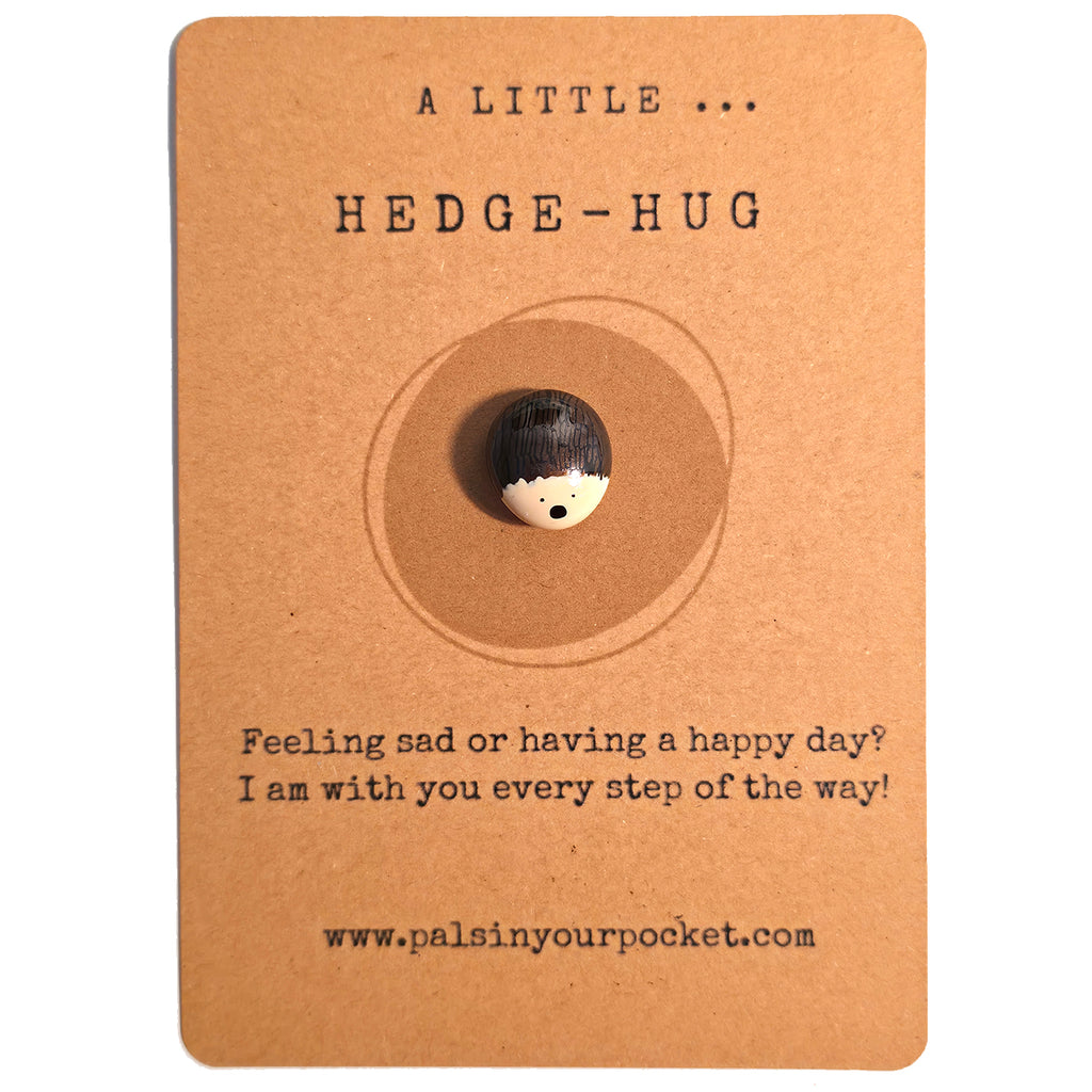 A Little Hedge Hug mindfulness pebble with cute hedgehog design on affirmation card offering comfort and support.