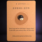 A Little Hedge Hug mindfulness pebble with cute hedgehog design on affirmation card offering comfort and support.