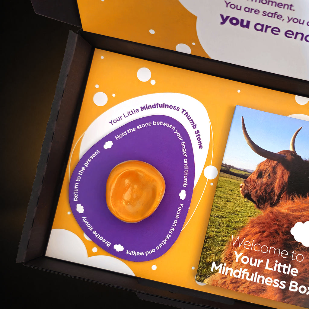 Stress relief gift featuring a grounding worry stone and mindfulness guide inside a luxury wellbeing gift box